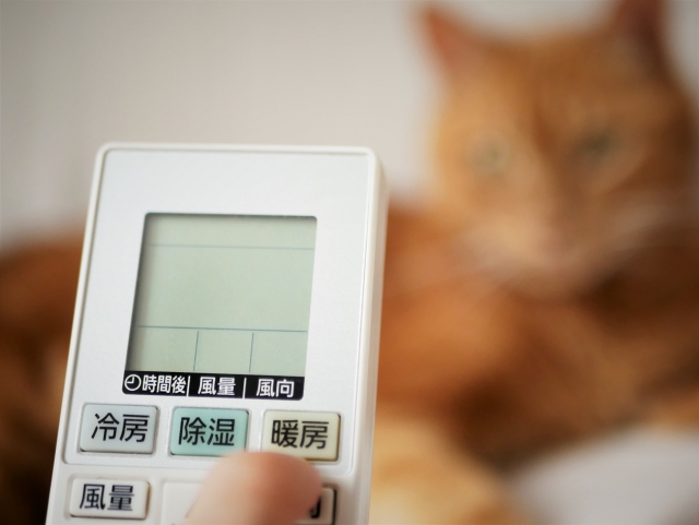 長野県なら災害時だけでなく平常時にもメリットがある