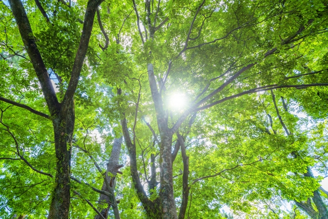 遮熱効果を踏まえた東信地域の太陽光発電の活用術